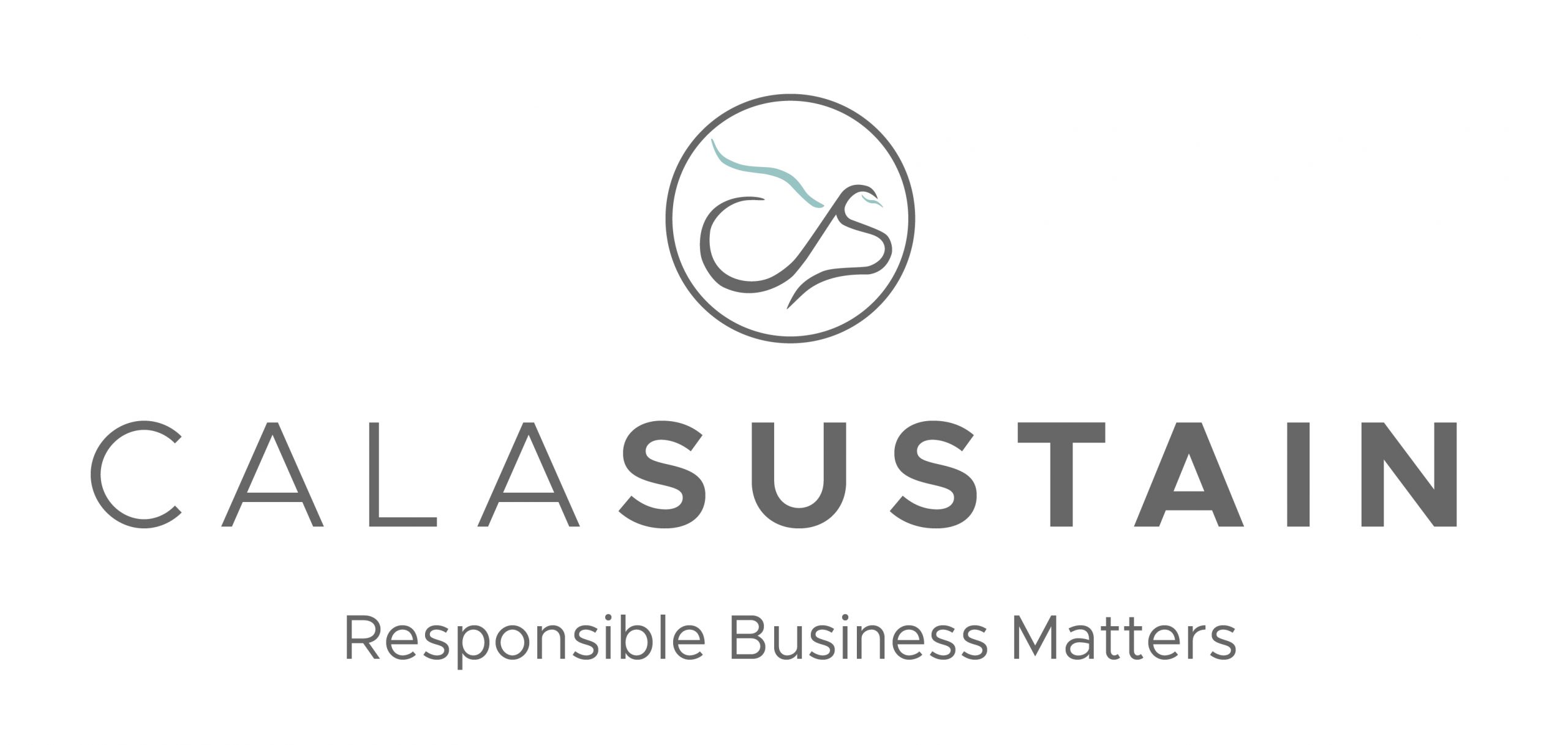 strategic sustainability and reporting